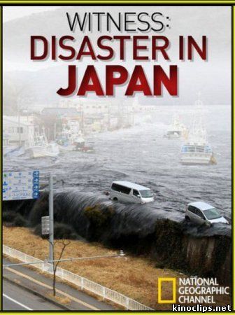 Катастрофа в Японии: Свидетельства очевидцев / Witness: Disaster In Japan