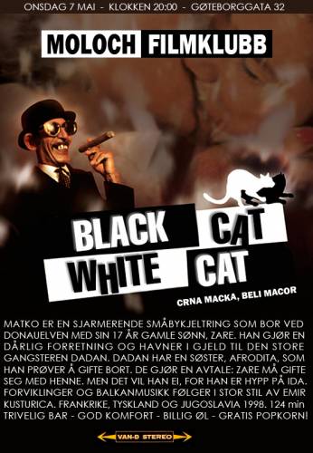 Melnais kaķis, baltais kaķis / Black cat, white cat