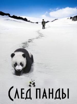 След панды / Xiong mao hui jia lu
