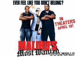 Vismeklētākais Malibū / Malibu's Most Wanted