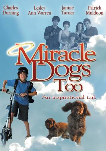 Zaks un brīnumsuņi / Miracle Dogs Too