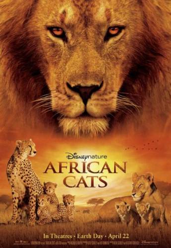 Āfrikas kaķi / African Cats