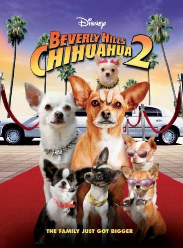 Beverlihilzas čivava 2 / Beverly Hills Chihuahua 2