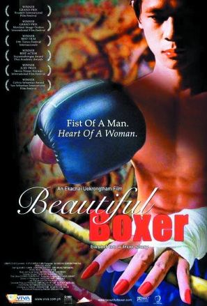 Lieliskais bokseris / Beautiful Boxer