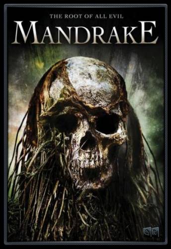 Mandragora / Mandrake